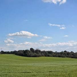 Ostuni : Forest bathing dans le Bosco Ciuchino Birichino