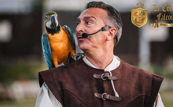 Breakfast with parrots at Masseria Mazzetta with wildlife park