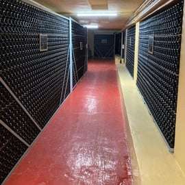 Brindisi: Cata de vinos en la bodega.