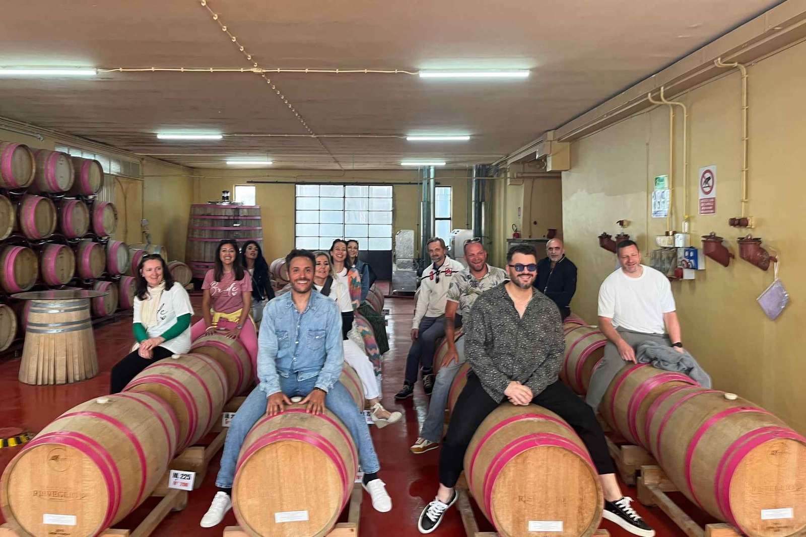 Brindisi: Cata de vinos en la bodega.