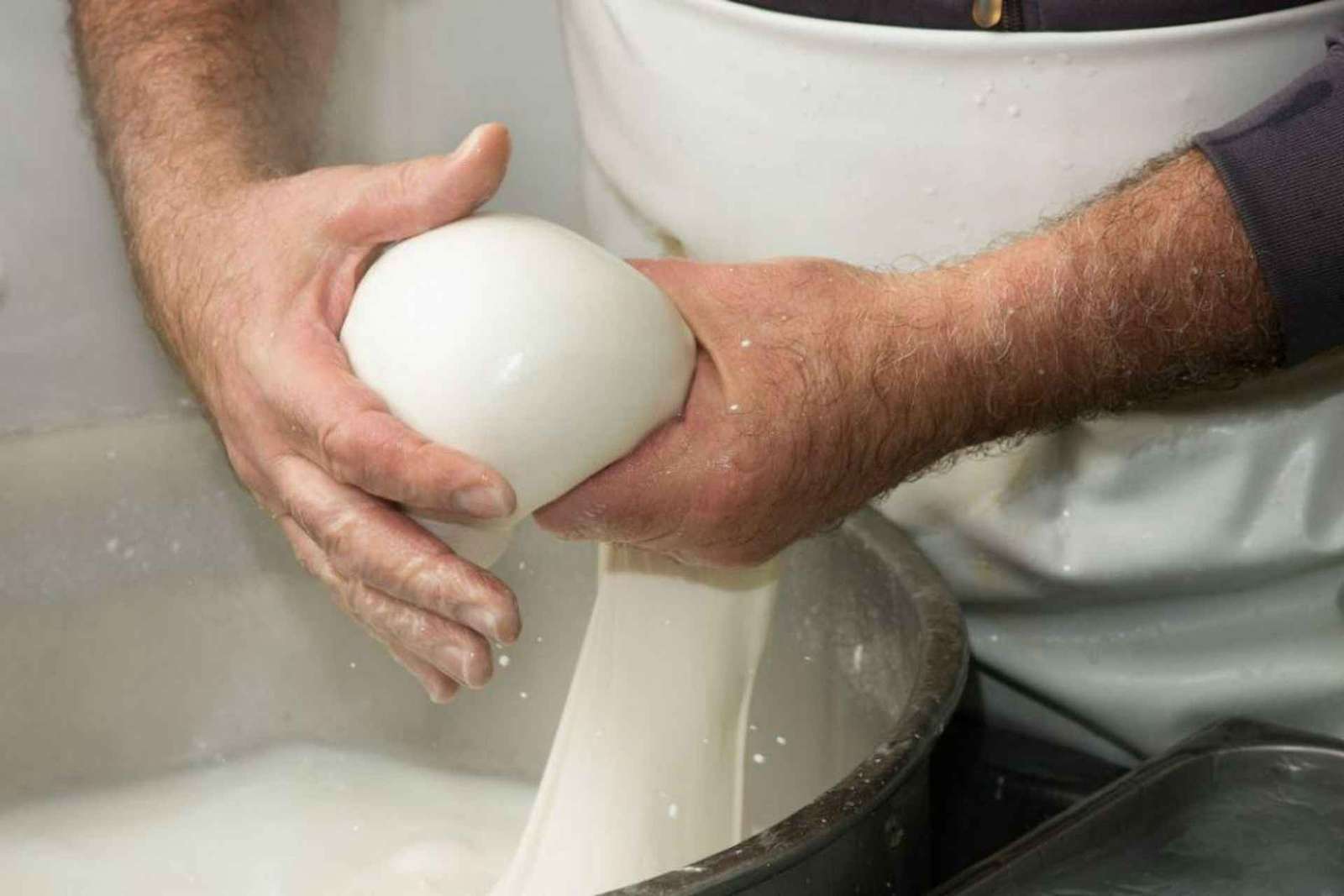 Apulia: Experiencia con la mozzarella en una granja de Apulia
