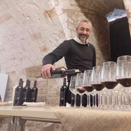 Brindisi: Cata de vinos en la bodega.