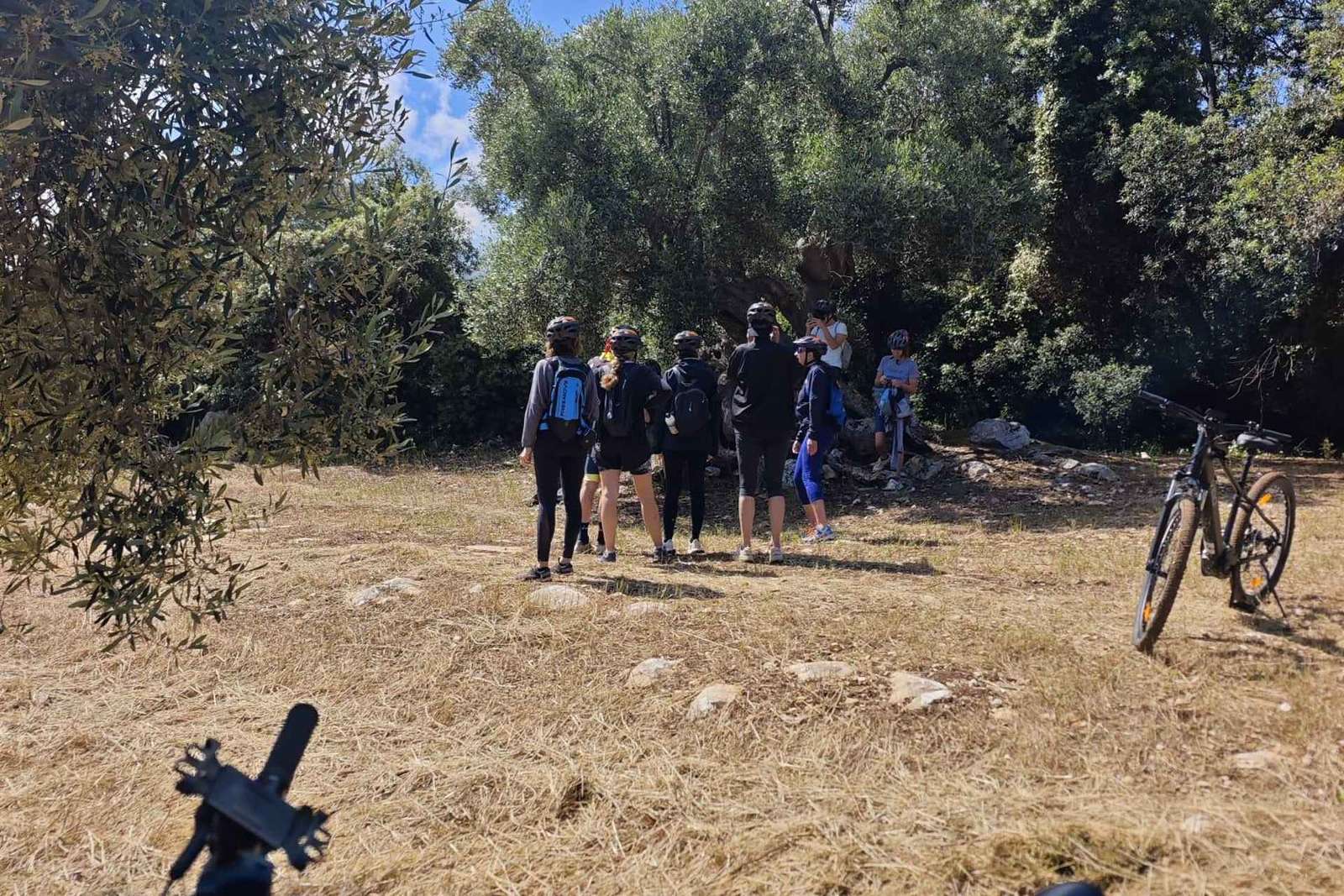 Ostuni: Oliveiras centenárias e lagar subterrâneo de bicicleta