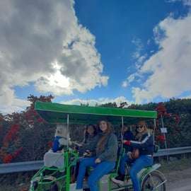 Ostuni Adventure Park: Tour in risciò a pedalata assistita
