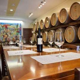 Lecce: Negroamaro Lands Winery Tour with Wine Tasting