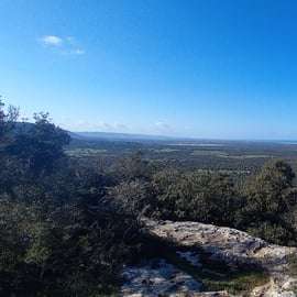 Ostuni: E-Bike tur med ett glas vin & Bruschetta
