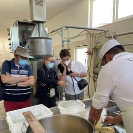 Apulia: Experiencia con la mozzarella en una granja de Apulia