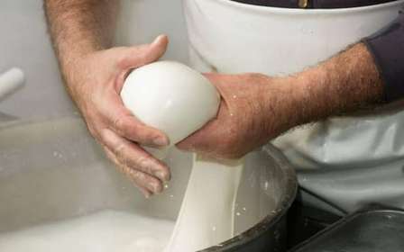 Apulia: Doświadczenie z mozzarellą na farmie w Apulii