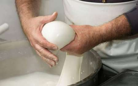 Puglia: Mozzarella Experience at a Apulian Farm