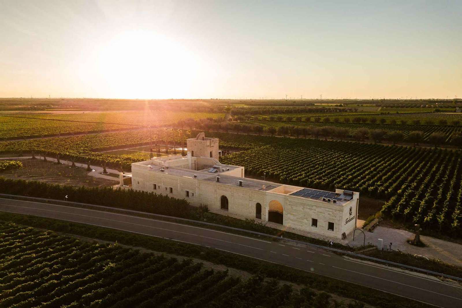 TORLEANZI: visita e prova de vinhos numa adega em Torre San Gennaro