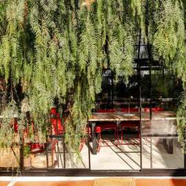 Expérience privée en serre : « Tiramisu et ses variantes » à Ostuni