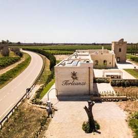 TORLEANZI: visita e prova de vinhos numa adega em Torre San Gennaro