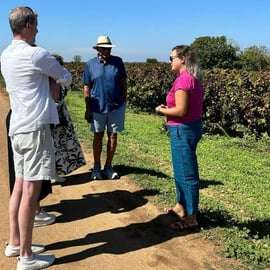 Lecce: Negroamaro Lands Winery Tour with Wine Tasting