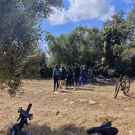 Ostuni: Oliveiras centenárias e lagar subterrâneo de bicicleta