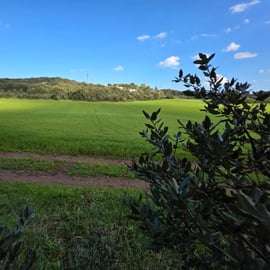 Ostuni : Forest bathing dans le Bosco Ciuchino Birichino