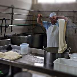 Apulia: Experiencia con la mozzarella en una granja de Apulia
