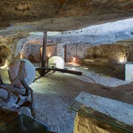 Puglia: Olijfolie Proeverij met Olijfgaard Wandeling