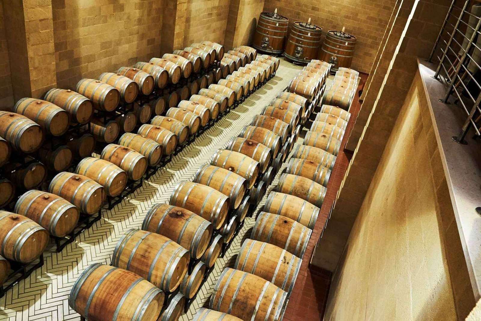 Brindisi: tour della cantina e degustazione di vini