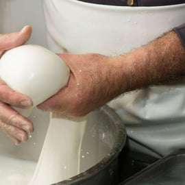 Apulia: Experiencia con la mozzarella en una granja de Apulia