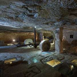 Ostuni: tour de degustação de azeite