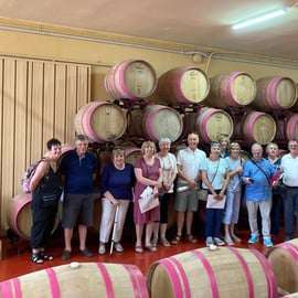 Brindisi: Cata de vinos en la bodega.