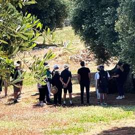 Ostuni: Olive Oil Tour with Tasting and Mill Visit