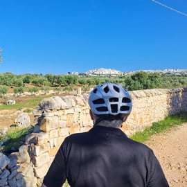 Passeio de E-Bike em Ostuni. Enormes oliveiras e um vilarejo de pedras