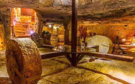 Ostuni: Olive Oil Tasting Tour