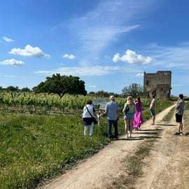 Lecce: Negroamaro Lands Winery Tour with Wine Tasting