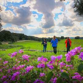 Ostuni Adventure Park : aventure dans les arbres et marche nordique dans la forêt