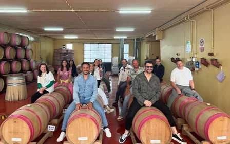 Brindisi: Degustacja win w piwnicy