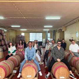 Brindisi: Cata de vinos en la bodega.